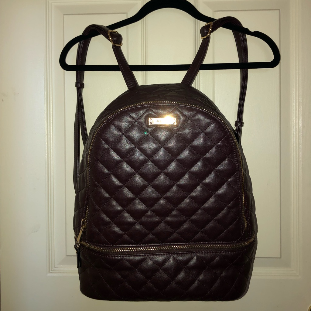 Aldo Backpack